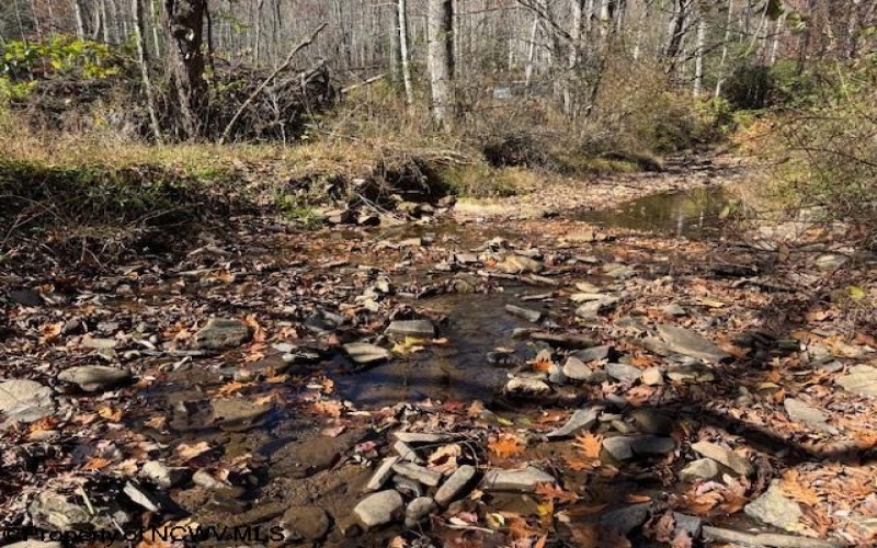 TBD RT 41 (RR), Mill Creek, West Virginia 26280, ,Lots/land,For Sale,RT 41,10162274 TBD RT 41 (RR), Mill Creek, West Virginia 26280, ,Lots/land,For Sale,RT 41,10162274