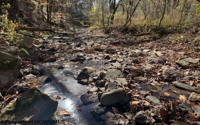 TBD RT 41 (RR), Mill Creek, West Virginia 26280, ,Lots/land,For Sale,RT 41,10162274 TBD RT 41 (RR), Mill Creek, West Virginia 26280, ,Lots/land,For Sale,RT 41,10162274