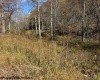 TBD RT 41 (RR), Mill Creek, West Virginia 26280, ,Lots/land,For Sale,RT 41,10162274 TBD RT 41 (RR), Mill Creek, West Virginia 26280, ,Lots/land,For Sale,RT 41,10162274