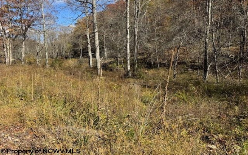 TBD RT 41 (RR), Mill Creek, West Virginia 26280, ,Lots/land,For Sale,RT 41,10162274 TBD RT 41 (RR), Mill Creek, West Virginia 26280, ,Lots/land,For Sale,RT 41,10162274