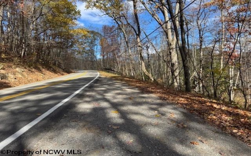 TBD RT 41 (RR), Mill Creek, West Virginia 26280, ,Lots/land,For Sale,RT 41,10162274 TBD RT 41 (RR), Mill Creek, West Virginia 26280, ,Lots/land,For Sale,RT 41,10162274