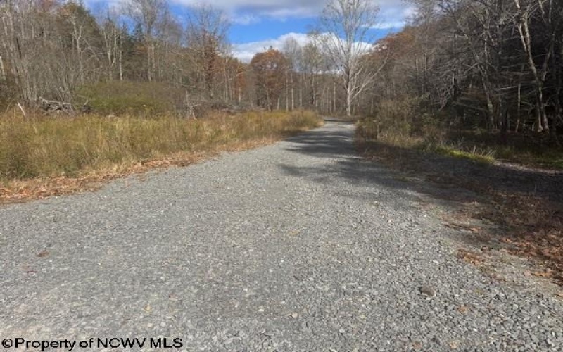 TBD RT 41 (RR), Mill Creek, West Virginia 26280, ,Lots/land,For Sale,RT 41,10162274 TBD RT 41 (RR), Mill Creek, West Virginia 26280, ,Lots/land,For Sale,RT 41,10162274