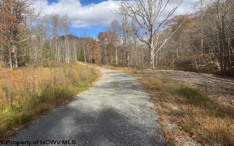 TBD RT 41 (RR), Mill Creek, West Virginia 26280, ,Lots/land,For Sale,RT 41,10162274 TBD RT 41 (RR), Mill Creek, West Virginia 26280, ,Lots/land,For Sale,RT 41,10162274