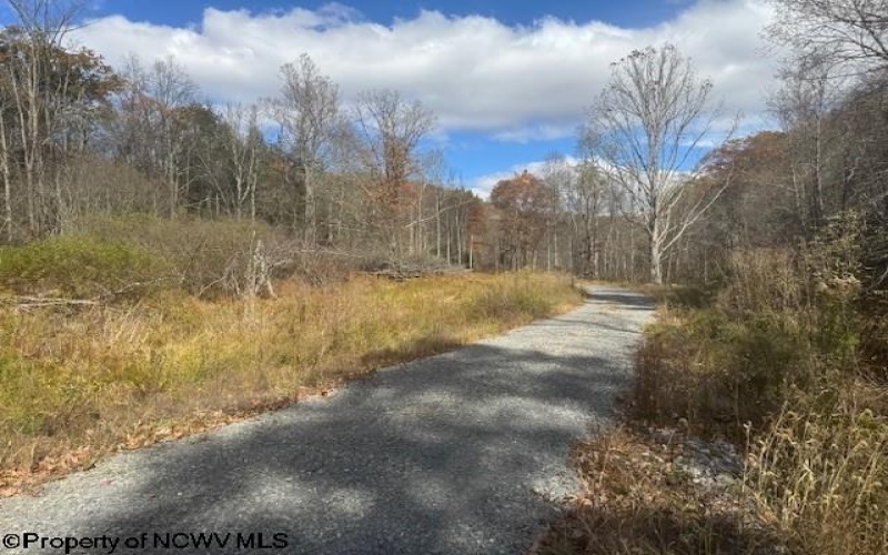 TBD RT 41 (RR), Mill Creek, West Virginia 26280, ,Lots/land,For Sale,RT 41,10162274 TBD RT 41 (RR), Mill Creek, West Virginia 26280, ,Lots/land,For Sale,RT 41,10162274