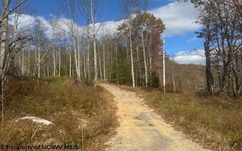 TBD RT 41 (RR), Mill Creek, West Virginia 26280, ,Lots/land,For Sale,RT 41,10162274 TBD RT 41 (RR), Mill Creek, West Virginia 26280, ,Lots/land,For Sale,RT 41,10162274