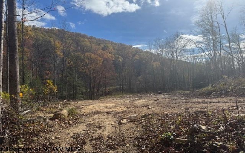 TBD RT 41 (RR), Mill Creek, West Virginia 26280, ,Lots/land,For Sale,RT 41,10162274 TBD RT 41 (RR), Mill Creek, West Virginia 26280, ,Lots/land,For Sale,RT 41,10162274