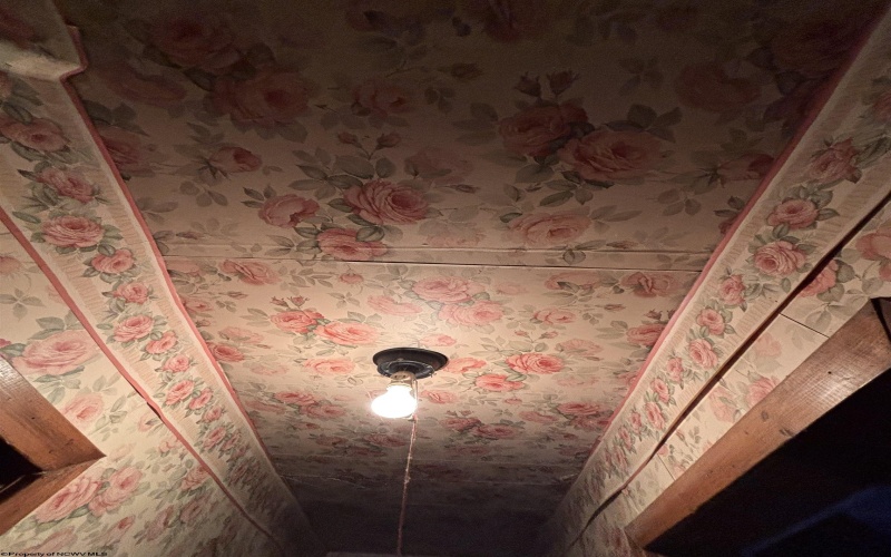 195 Railroad Street, Hambleton, West Virginia 26269, 3 Bedrooms Bedrooms, 6 Rooms Rooms,1 BathroomBathrooms,Single Family Detached,For Sale,Railroad,10162268