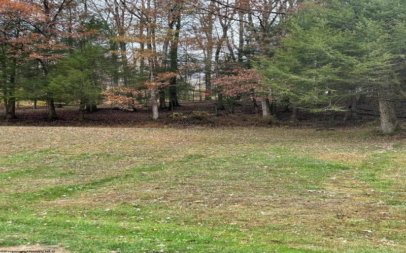 6801 Heaston Ridge Road, Rock Cave, West Virginia 26234, 4 Bedrooms Bedrooms, 7 Rooms Rooms,1 BathroomBathrooms,Single Family Detached,For Sale,Heaston Ridge,10162271 6801 Heaston Ridge Road, Rock Cave, West Virginia 26234, 4 Bedrooms Bedrooms, 7 Rooms Rooms,1 BathroomBathrooms,Single Family Detached,For Sale,Heaston Ridge,10162271