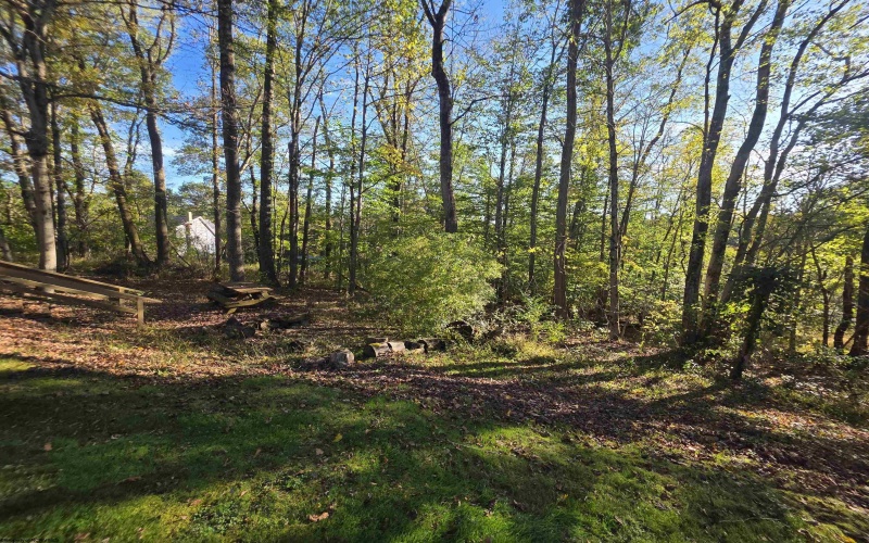 110 Lynne Avenue, Kingwood, West Virginia 26537, 4 Bedrooms Bedrooms, 10 Rooms Rooms,3 BathroomsBathrooms,Single Family Detached,For Sale,Lynne,10162329 110 Lynne Avenue, Kingwood, West Virginia 26537, 4 Bedrooms Bedrooms, 10 Rooms Rooms,3 BathroomsBathrooms,Single Family Detached,For Sale,Lynne,10162329