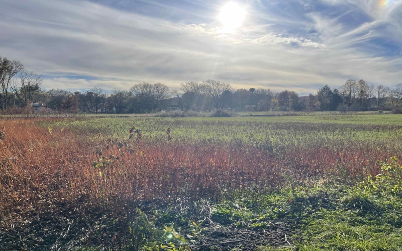 00 Morton Avenue, Buckhannon, West Virginia 26201, ,Lots/land,For Sale,Morton,10162327 00 Morton Avenue, Buckhannon, West Virginia 26201, ,Lots/land,For Sale,Morton,10162327