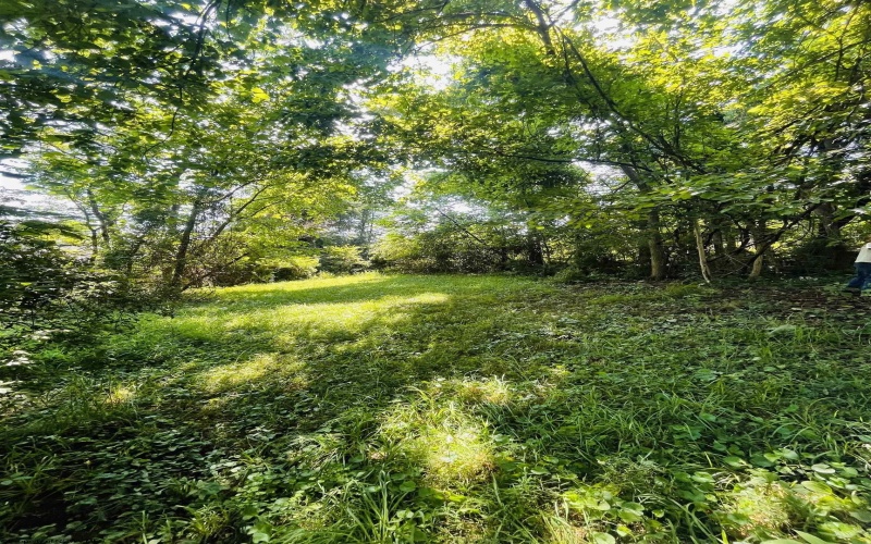 TBD Charleston Avenue, Morgantown, West Virginia 26508, ,Lots/land,For Sale,Charleston,10160496