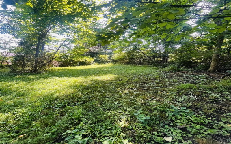 TBD Charleston Avenue, Morgantown, West Virginia 26508, ,Lots/land,For Sale,Charleston,10160496
