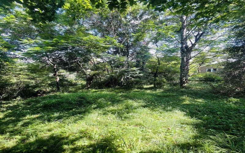 TBD Charleston Avenue, Morgantown, West Virginia 26508, ,Lots/land,For Sale,Charleston,10160496