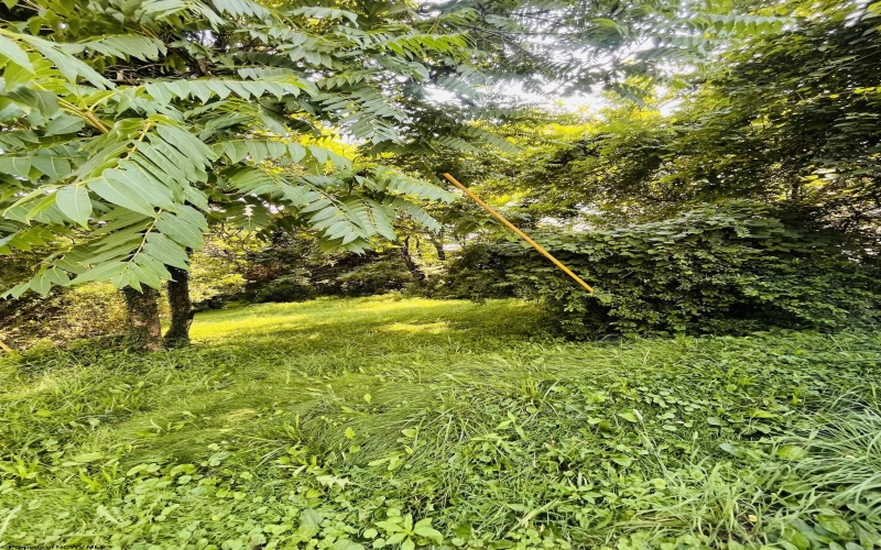 TBD Charleston Avenue, Morgantown, West Virginia 26508, ,Lots/land,For Sale,Charleston,10160496