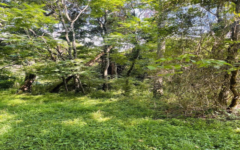 TBD Charleston Avenue, Morgantown, West Virginia 26508, ,Lots/land,For Sale,Charleston,10160496