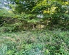 TBD Charleston Avenue, Morgantown, West Virginia 26508, ,Lots/land,For Sale,Charleston,10160496