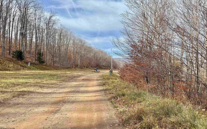 TBD Brookeside Road, Davis, West Virginia 26260, ,Lots/land,For Sale,Brookeside,10162342 TBD Brookeside Road, Davis, West Virginia 26260, ,Lots/land,For Sale,Brookeside,10162342