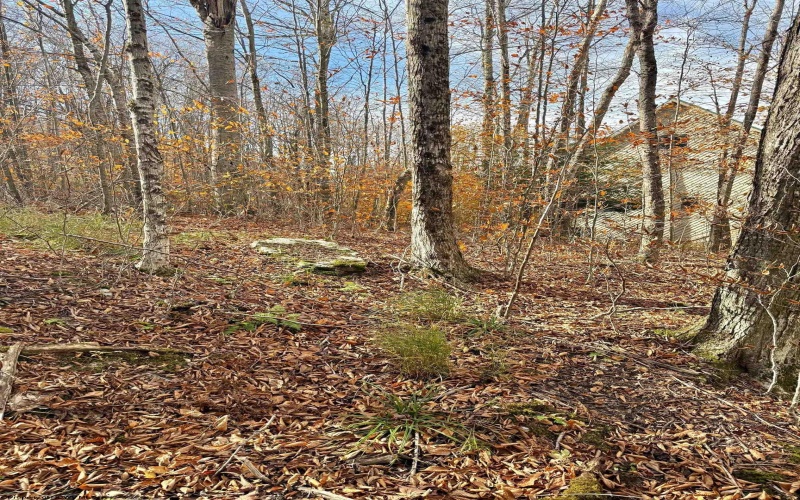 TBD Brookeside Road, Davis, West Virginia 26260, ,Lots/land,For Sale,Brookeside,10162342 TBD Brookeside Road, Davis, West Virginia 26260, ,Lots/land,For Sale,Brookeside,10162342