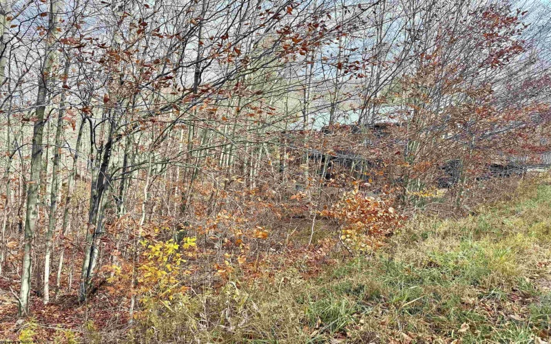 TBD Brookeside Road, Davis, West Virginia 26260, ,Lots/land,For Sale,Brookeside,10162342 TBD Brookeside Road, Davis, West Virginia 26260, ,Lots/land,For Sale,Brookeside,10162342