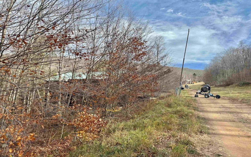 TBD Brookeside Road, Davis, West Virginia 26260, ,Lots/land,For Sale,Brookeside,10162342 TBD Brookeside Road, Davis, West Virginia 26260, ,Lots/land,For Sale,Brookeside,10162342