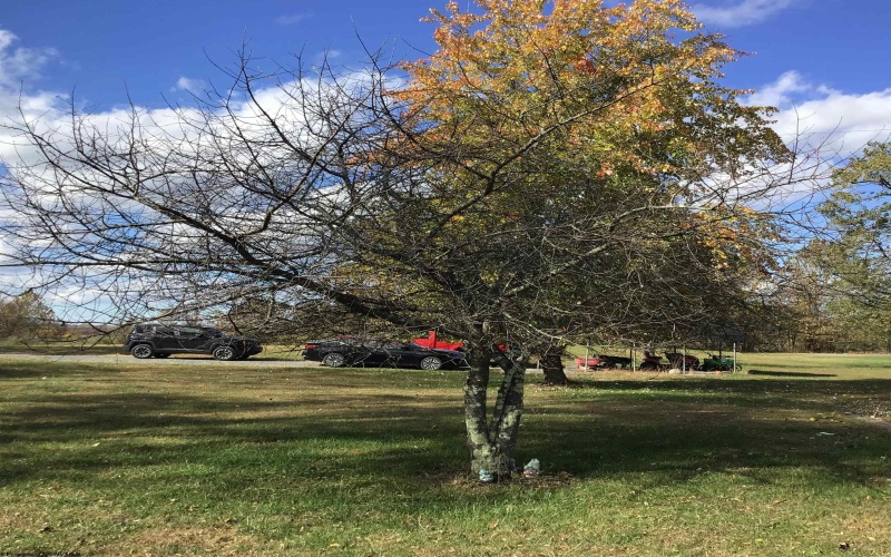 3443 Stewartstown Road, Morgantown, West Virginia 26508, 3 Bedrooms Bedrooms, 7 Rooms Rooms,2 BathroomsBathrooms,Single Family Detached,For Sale,Stewartstown,10162332 3443 Stewartstown Road, Morgantown, West Virginia 26508, 3 Bedrooms Bedrooms, 7 Rooms Rooms,2 BathroomsBathrooms,Single Family Detached,For Sale,Stewartstown,10162332