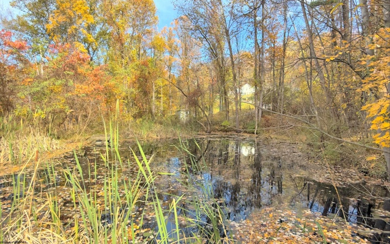 1256 GRAFTON Road, Morgantown, West Virginia 26508, 2 Bedrooms Bedrooms, 6 Rooms Rooms,2 BathroomsBathrooms,Single Family Detached,For Sale,GRAFTON,10162351 1256 GRAFTON Road, Morgantown, West Virginia 26508, 2 Bedrooms Bedrooms, 6 Rooms Rooms,2 BathroomsBathrooms,Single Family Detached,For Sale,GRAFTON,10162351