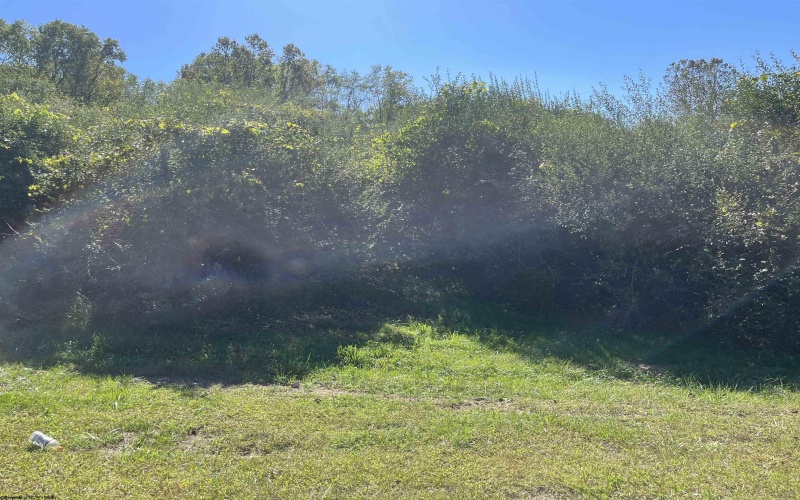 TBA Maple Street, Jane Lew, West Virginia 26378, ,Lots/land,For Sale,Maple,10162365 TBA Maple Street, Jane Lew, West Virginia 26378, ,Lots/land,For Sale,Maple,10162365