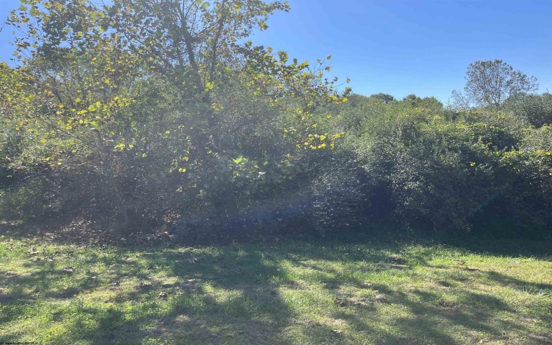 TBA Maple Street, Jane Lew, West Virginia 26378, ,Lots/land,For Sale,Maple,10162365 TBA Maple Street, Jane Lew, West Virginia 26378, ,Lots/land,For Sale,Maple,10162365