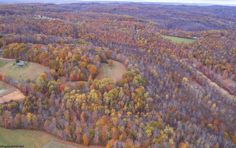 TBD Bernatowicz Road, Kingwood, West Virginia 26537, ,Lots/land,For Sale,Bernatowicz,10162355