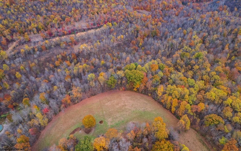 TBD Bernatowicz Road, Kingwood, West Virginia 26537, ,Lots/land,For Sale,Bernatowicz,10162355