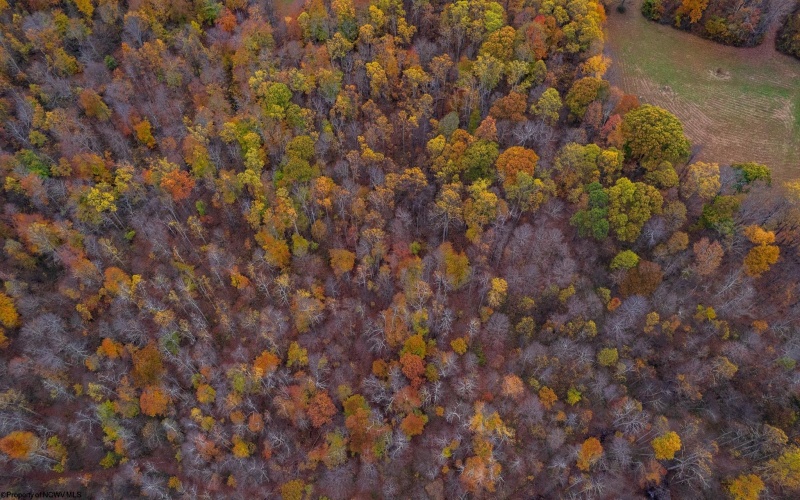 TBD Bernatowicz Road, Kingwood, West Virginia 26537, ,Lots/land,For Sale,Bernatowicz,10162355