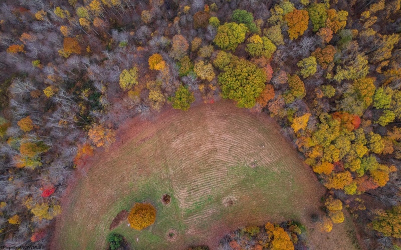 TBD Bernatowicz Road, Kingwood, West Virginia 26537, ,Lots/land,For Sale,Bernatowicz,10162355