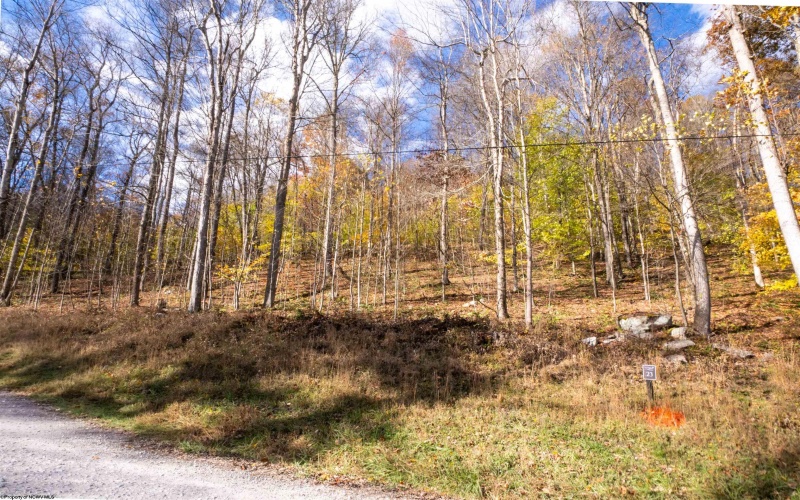 Lot 23 Whitewater Parkway, Bruceton Mills, West Virginia 26525, ,Lots/land,For Sale,Whitewater,10162358 Lot 23 Whitewater Parkway, Bruceton Mills, West Virginia 26525, ,Lots/land,For Sale,Whitewater,10162358