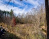 8460 Buckhannon Pike, Lost Creek, West Virginia 26385, ,Lots/land,For Sale,Buckhannon,10162362 8460 Buckhannon Pike, Lost Creek, West Virginia 26385, ,Lots/land,For Sale,Buckhannon,10162362