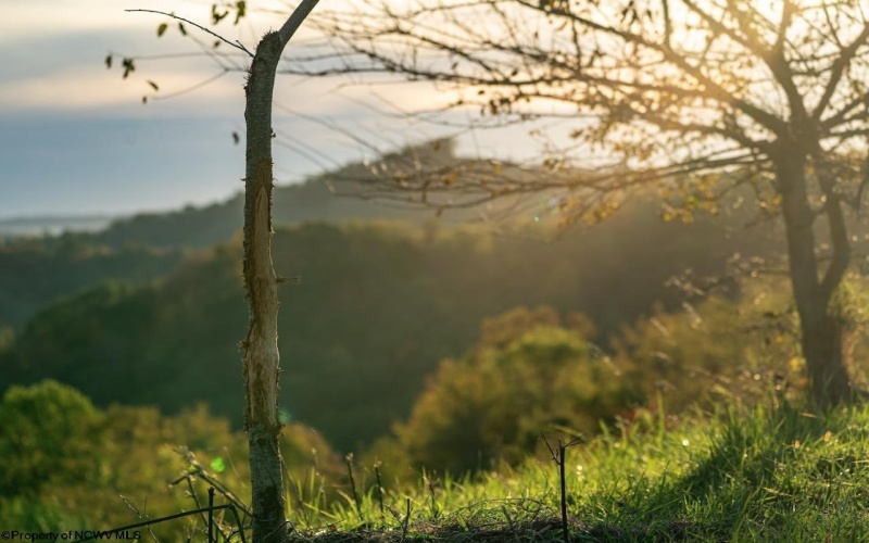 379 Rahm Drive, Proctor, West Virginia 26055, 3 Bedrooms Bedrooms, 9 Rooms Rooms,1 BathroomBathrooms,Single Family Detached,For Sale,Rahm,10162357 379 Rahm Drive, Proctor, West Virginia 26055, 3 Bedrooms Bedrooms, 9 Rooms Rooms,1 BathroomBathrooms,Single Family Detached,For Sale,Rahm,10162357