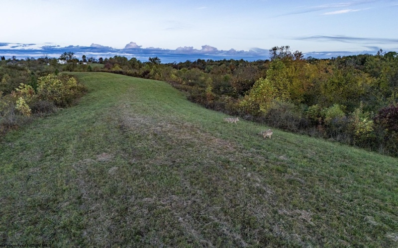 379 Rahm Drive, Proctor, West Virginia 26055, 3 Bedrooms Bedrooms, 9 Rooms Rooms,1 BathroomBathrooms,Single Family Detached,For Sale,Rahm,10162357 379 Rahm Drive, Proctor, West Virginia 26055, 3 Bedrooms Bedrooms, 9 Rooms Rooms,1 BathroomBathrooms,Single Family Detached,For Sale,Rahm,10162357