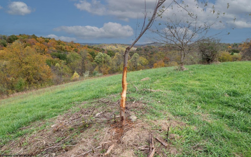 379 Rahm Drive, Proctor, West Virginia 26055, 3 Bedrooms Bedrooms, 9 Rooms Rooms,1 BathroomBathrooms,Single Family Detached,For Sale,Rahm,10162357 379 Rahm Drive, Proctor, West Virginia 26055, 3 Bedrooms Bedrooms, 9 Rooms Rooms,1 BathroomBathrooms,Single Family Detached,For Sale,Rahm,10162357