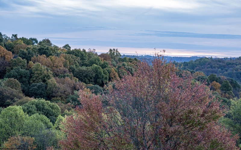 379 Rahm Drive, Proctor, West Virginia 26055, 3 Bedrooms Bedrooms, 9 Rooms Rooms,1 BathroomBathrooms,Single Family Detached,For Sale,Rahm,10162357 379 Rahm Drive, Proctor, West Virginia 26055, 3 Bedrooms Bedrooms, 9 Rooms Rooms,1 BathroomBathrooms,Single Family Detached,For Sale,Rahm,10162357