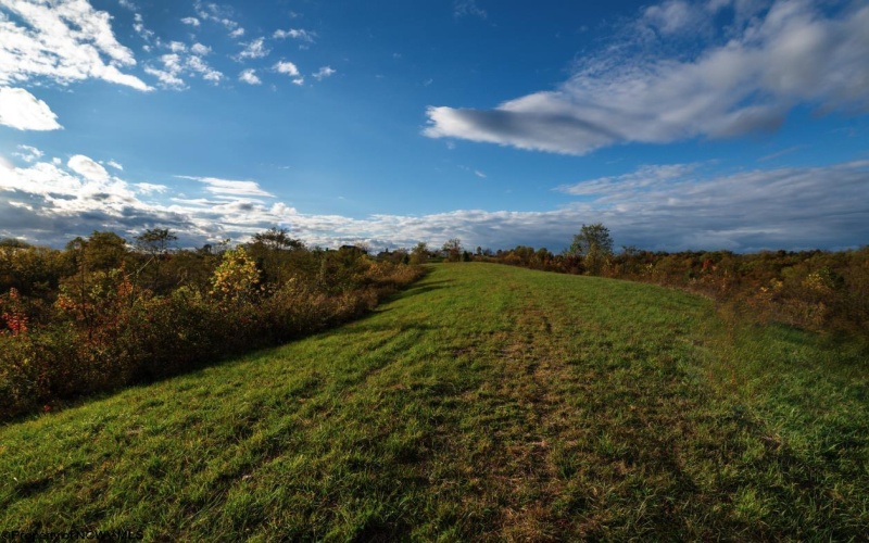 379 Rahm Drive, Proctor, West Virginia 26055, 3 Bedrooms Bedrooms, 9 Rooms Rooms,1 BathroomBathrooms,Single Family Detached,For Sale,Rahm,10162357 379 Rahm Drive, Proctor, West Virginia 26055, 3 Bedrooms Bedrooms, 9 Rooms Rooms,1 BathroomBathrooms,Single Family Detached,For Sale,Rahm,10162357