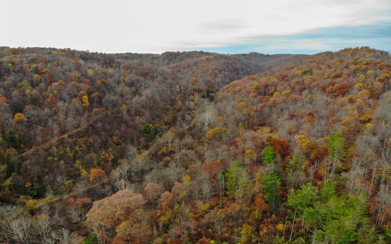 TBD Pyles Avenue, Mannington, West Virginia 26582, ,Lots/land,For Sale,Pyles,10162377 TBD Pyles Avenue, Mannington, West Virginia 26582, ,Lots/land,For Sale,Pyles,10162377