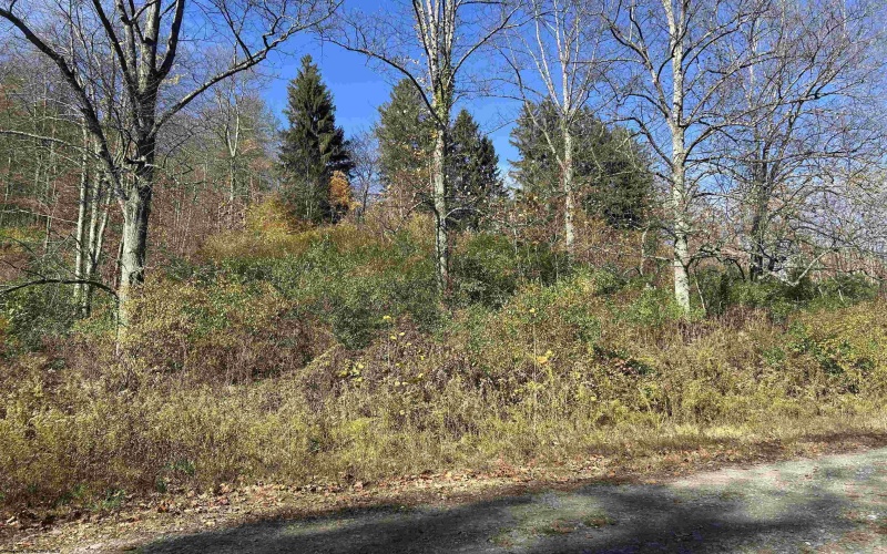 TBD Pyles Avenue, Mannington, West Virginia 26582, ,Lots/land,For Sale,Pyles,10162377 TBD Pyles Avenue, Mannington, West Virginia 26582, ,Lots/land,For Sale,Pyles,10162377