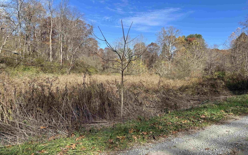 TBD Pyles Avenue, Mannington, West Virginia 26582, ,Lots/land,For Sale,Pyles,10162377 TBD Pyles Avenue, Mannington, West Virginia 26582, ,Lots/land,For Sale,Pyles,10162377