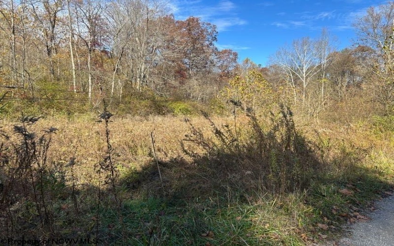 TBD Pyles Avenue, Mannington, West Virginia 26582, ,Lots/land,For Sale,Pyles,10162377 TBD Pyles Avenue, Mannington, West Virginia 26582, ,Lots/land,For Sale,Pyles,10162377