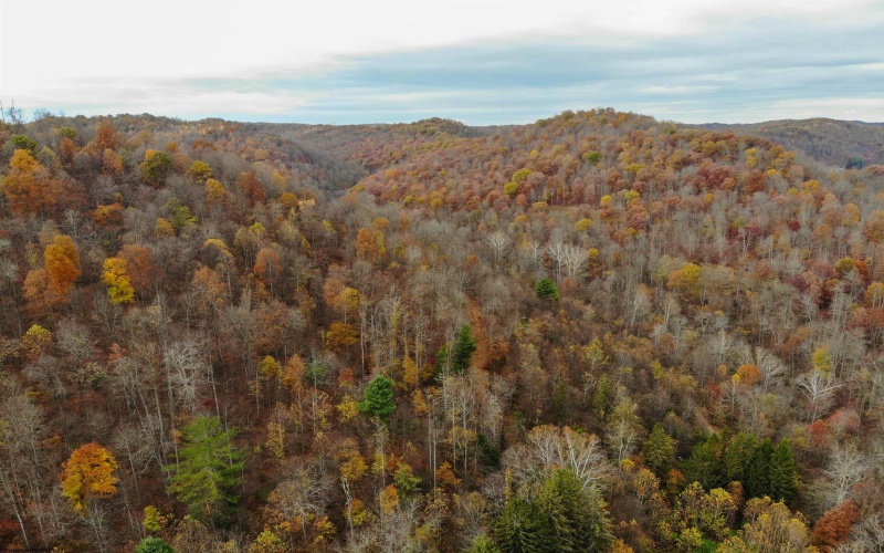 TBD Pyles Avenue, Mannington, West Virginia 26582, ,Lots/land,For Sale,Pyles,10162377 TBD Pyles Avenue, Mannington, West Virginia 26582, ,Lots/land,For Sale,Pyles,10162377