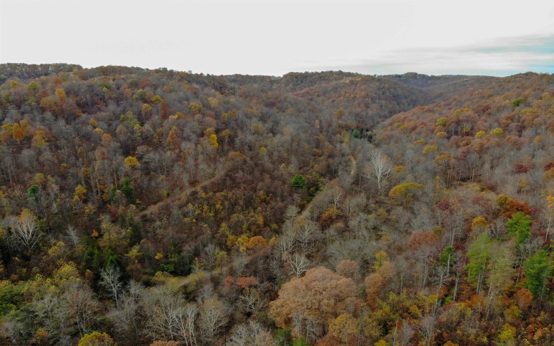 TBD Pyles Avenue, Mannington, West Virginia 26582, ,Lots/land,For Sale,Pyles,10162377 TBD Pyles Avenue, Mannington, West Virginia 26582, ,Lots/land,For Sale,Pyles,10162377