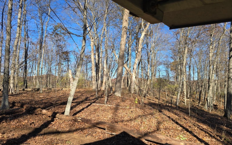 000 Georgetown Road, Horner, West Virginia 26372, ,Lots/land,For Sale,Georgetown,10162379 000 Georgetown Road, Horner, West Virginia 26372, ,Lots/land,For Sale,Georgetown,10162379