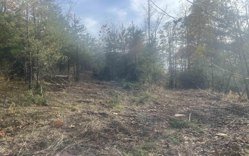 000 Georgetown Road, Horner, West Virginia 26372, ,Lots/land,For Sale,Georgetown,10162379 000 Georgetown Road, Horner, West Virginia 26372, ,Lots/land,For Sale,Georgetown,10162379