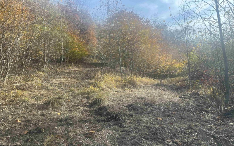 000 Georgetown Road, Horner, West Virginia 26372, ,Lots/land,For Sale,Georgetown,10162379 000 Georgetown Road, Horner, West Virginia 26372, ,Lots/land,For Sale,Georgetown,10162379