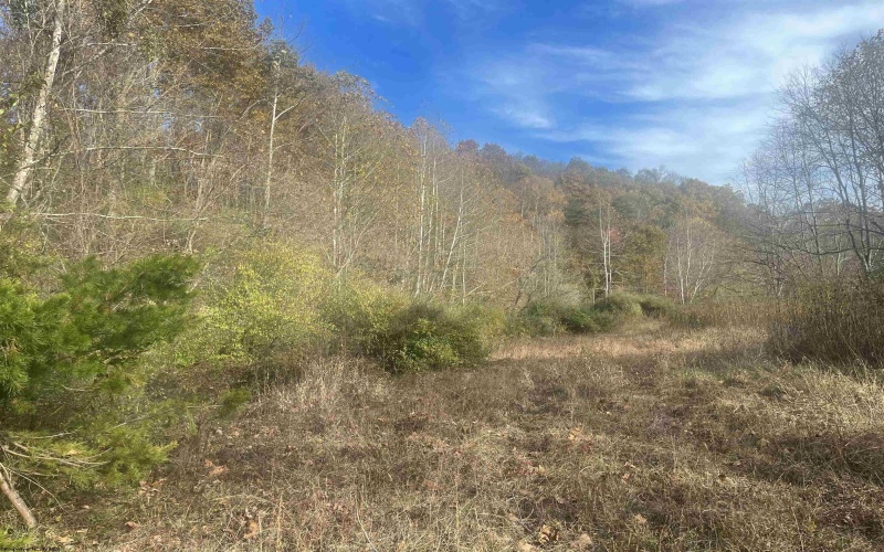 000 Georgetown Road, Horner, West Virginia 26372, ,Lots/land,For Sale,Georgetown,10162379 000 Georgetown Road, Horner, West Virginia 26372, ,Lots/land,For Sale,Georgetown,10162379