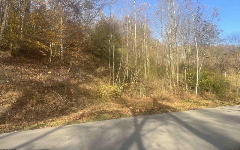 000 Georgetown Road, Horner, West Virginia 26372, ,Lots/land,For Sale,Georgetown,10162379 000 Georgetown Road, Horner, West Virginia 26372, ,Lots/land,For Sale,Georgetown,10162379